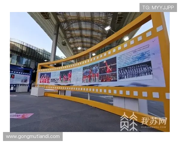 杭州排球队的奋斗历程与世界锦标赛的辉煌成就揭秘