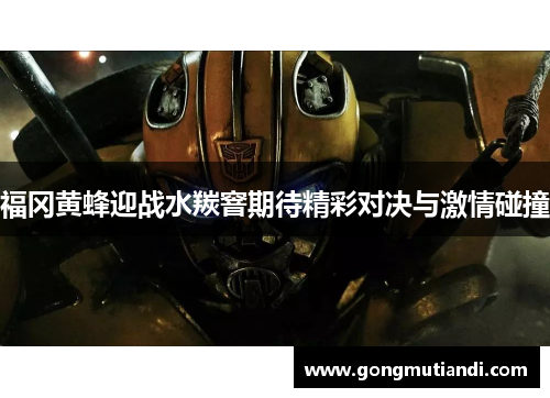 福冈黄蜂迎战水羰窨期待精彩对决与激情碰撞