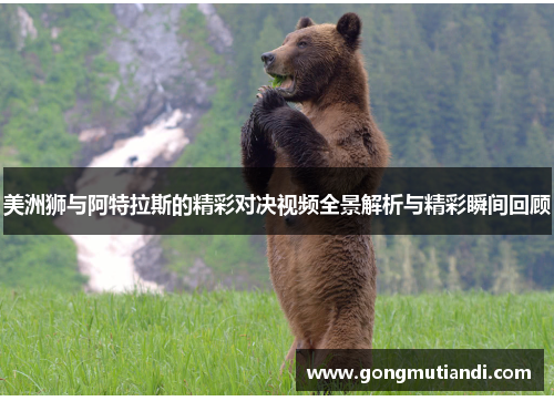 美洲狮与阿特拉斯的精彩对决视频全景解析与精彩瞬间回顾