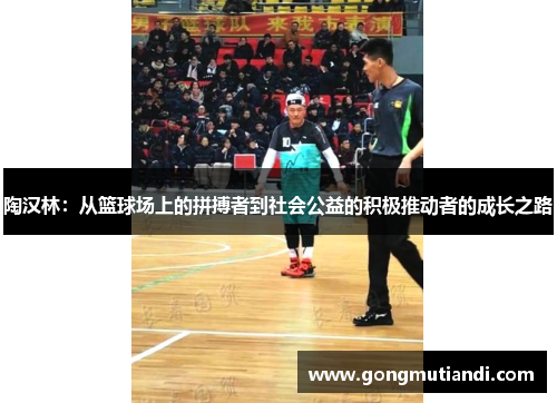 陶汉林：从篮球场上的拼搏者到社会公益的积极推动者的成长之路